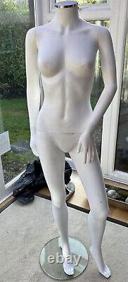 Full Body Mannequin Shop Window Display Dummy Tailor's Tummy Dressmaker new