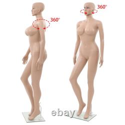 Full Body Mannequin Stand Tailor Dressmaker Dummy Shop Window Display Many Size