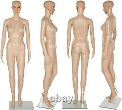 Brand New Full Body Mannequin Shop Fenêtre Display Tailors Dummy Tummy Dressmaker