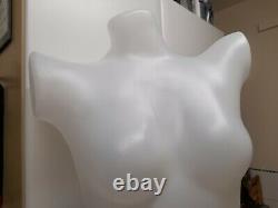 Femelle Mannequin Lampe Illuminée Boutique Affichage Dummy En Plastique Light Tailors Form