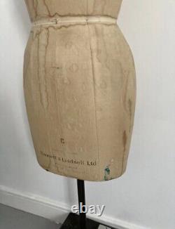Kennett & Lindsell Taille 12 Mannequin de Couturier / Torse / Forme de Robe avec Base Roulante